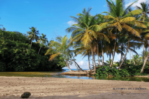 River at the end of Las Ballenas