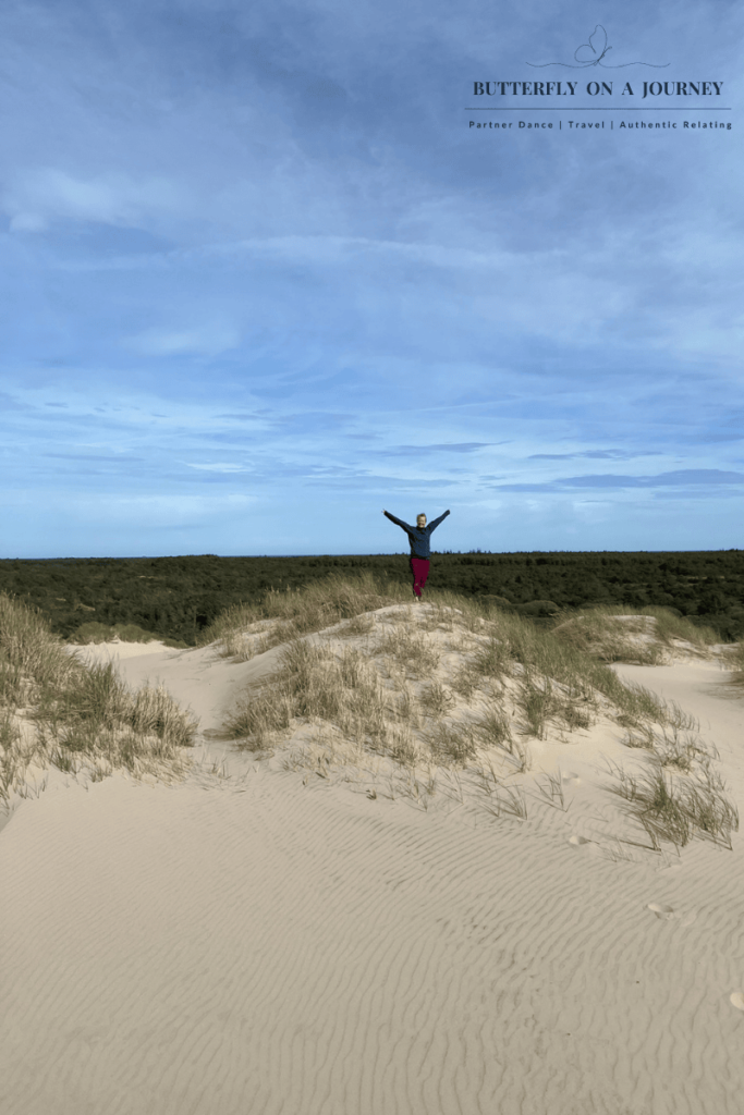 Dunes swallowing up trees and bushes