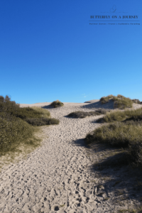 more sand dunes