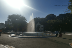 Cafecito del parque